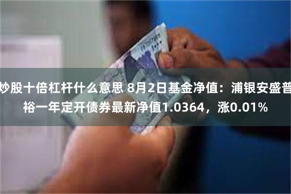 炒股十倍杠杆什么意思 8月2日基金净值：浦银安盛普裕一年定开债券最新净值1.0364，涨0.01%