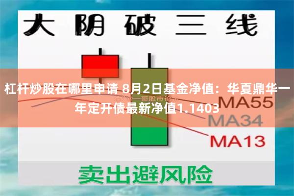 杠杆炒股在哪里申请 8月2日基金净值：华夏鼎华一年定开债最新净值1.1403