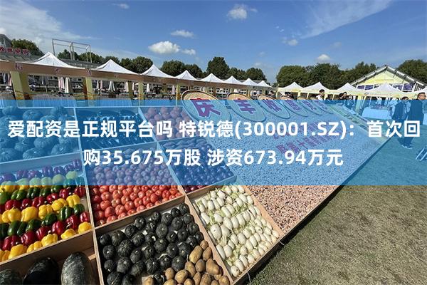 爱配资是正规平台吗 特锐德(300001.SZ)：首次回购35.675万股 涉资673.94万元