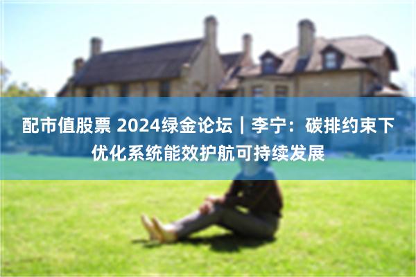 配市值股票 2024绿金论坛｜李宁：碳排约束下优化系统能效护航可持续发展