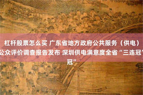 杠杆股票怎么买 广东省地方政府公共服务（供电）公众评价调查报告发布 深圳供电满意度全省“三连冠”