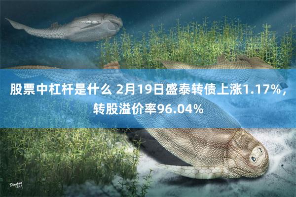 股票中杠杆是什么 2月19日盛泰转债上涨1.17%，转股溢价率96.04%