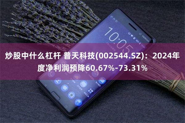 炒股中什么杠杆 普天科技(002544.SZ)：2024年度净利润预降60.67%-73.31%