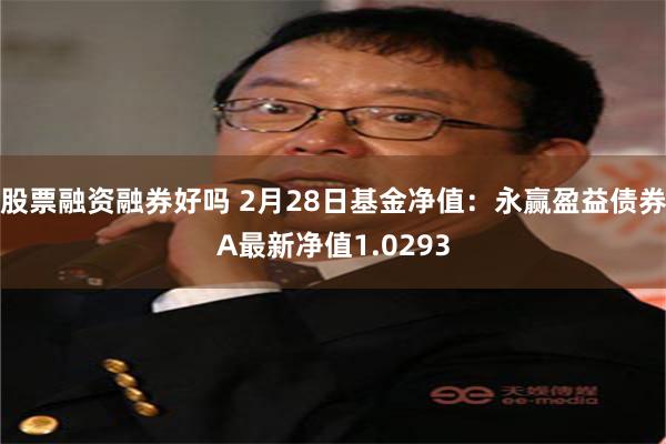 股票融资融券好吗 2月28日基金净值：永赢盈益债券A最新净值1.0293