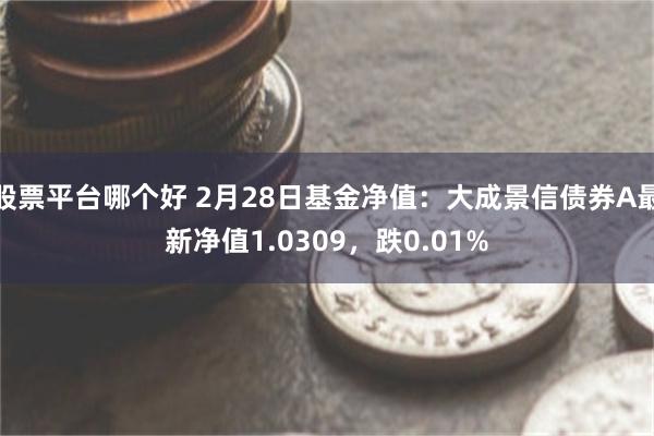 股票平台哪个好 2月28日基金净值：大成景信债券A最新净值1.0309，跌0.01%