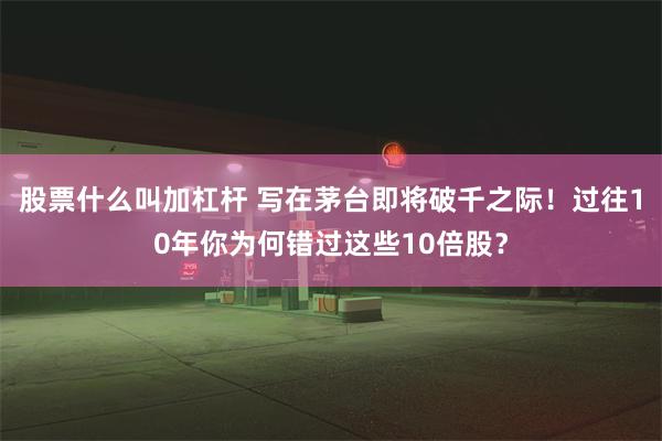 股票什么叫加杠杆 写在茅台即将破千之际！过往10年你为何错过这些10倍股？